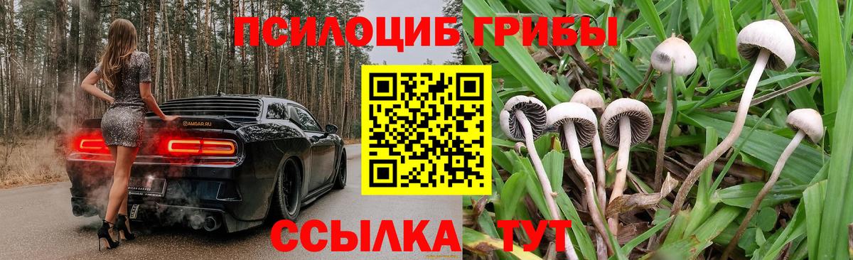 Галлюциногенные грибы Cubensis Ижевск